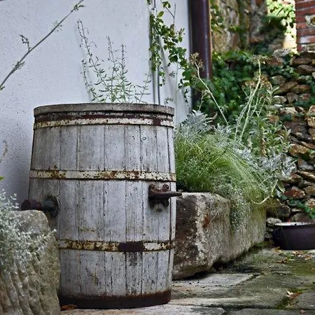 Hotel Zamek Rajsko 4*